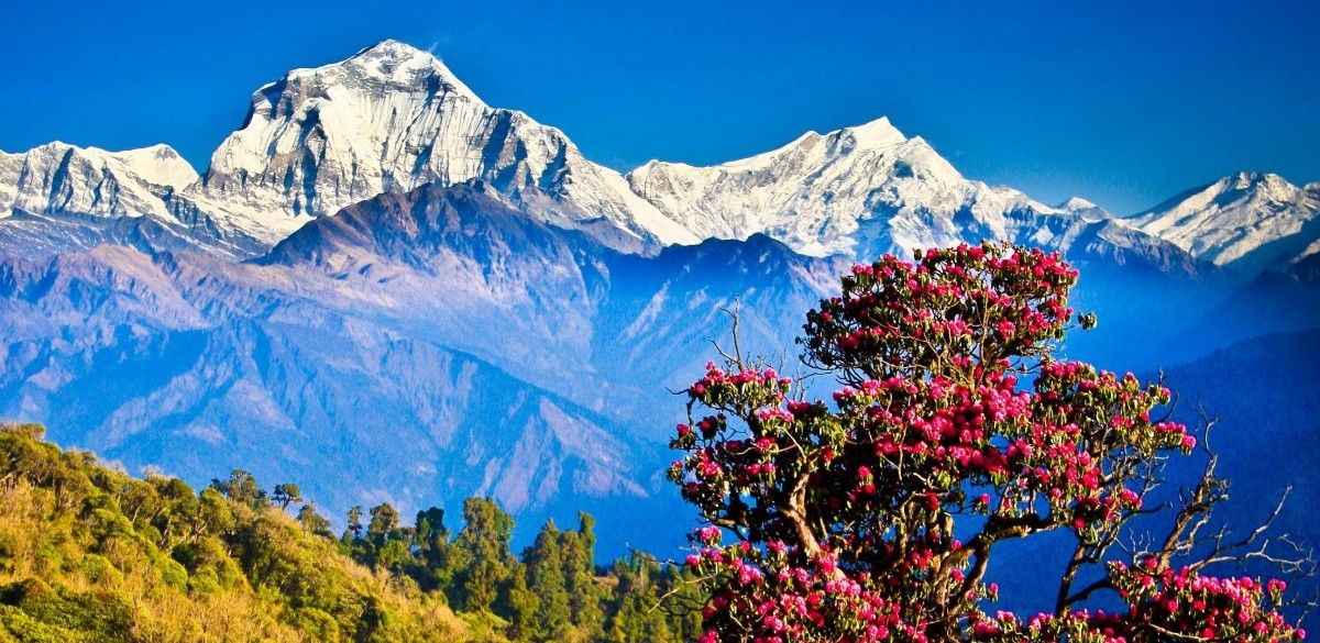 nepal2