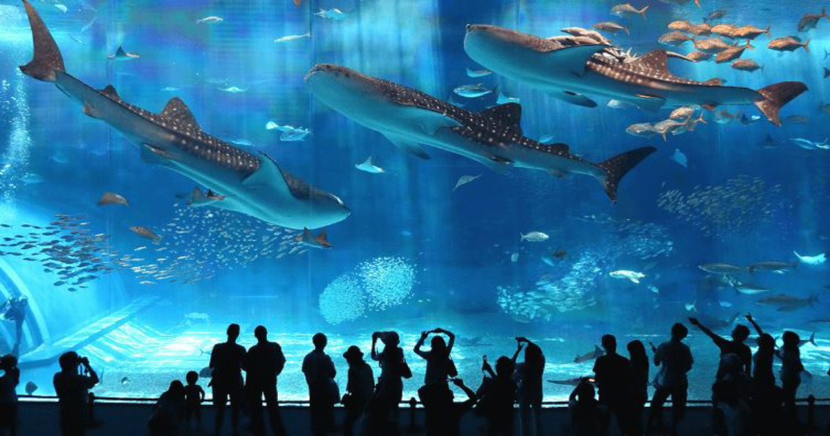 Aquarium