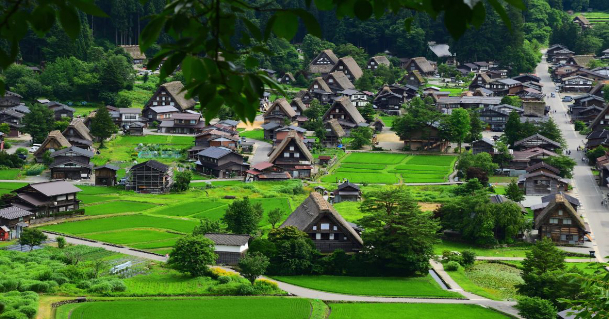 Shirakawago Summer