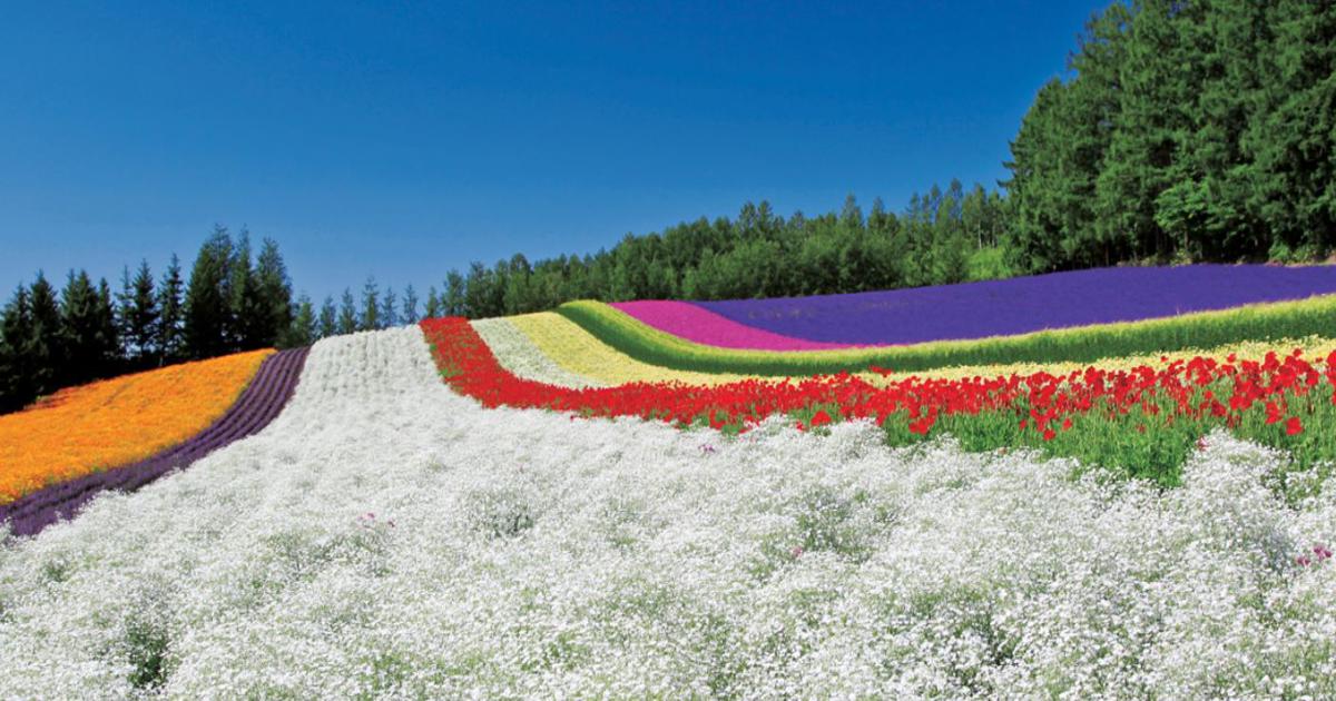 furano 5